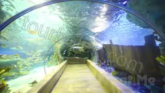Antalya Aquarium Tour from Belek thumb 5