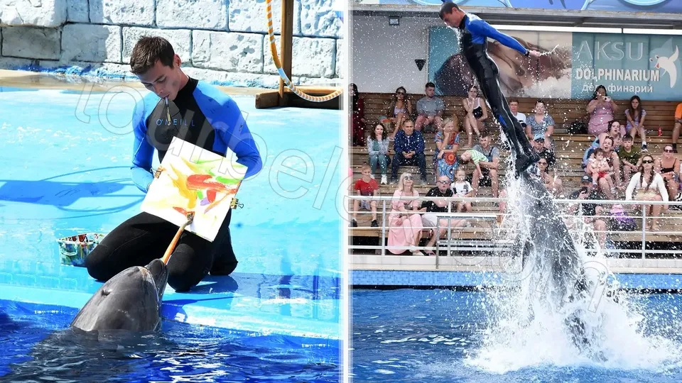 Belek Dolphin Show photo 5