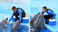 Belek Dolphin Show thumb 3