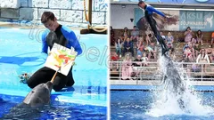 Belek Dolphin Show thumb 5