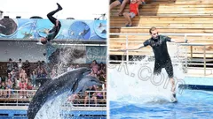 Belek Dolphin Show thumb 6