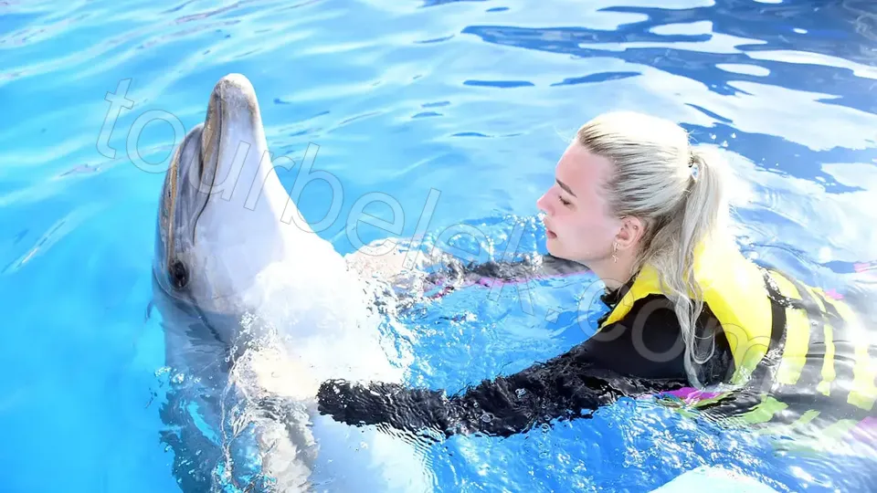 Swim with Dolphins Belek photo 0