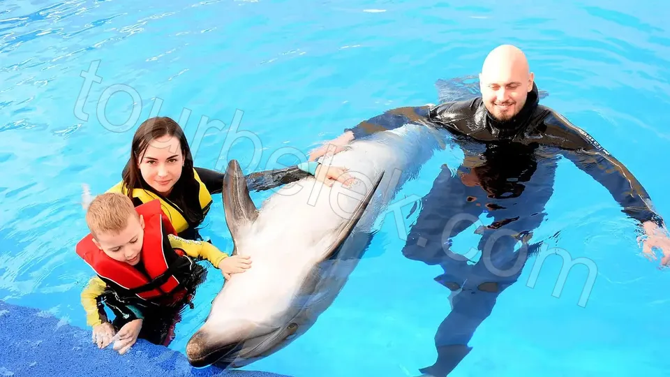 Swim with Dolphins Belek photo 17