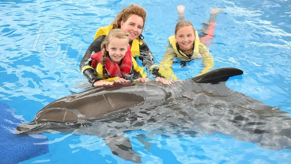 Swim with Dolphins Belek photo 18