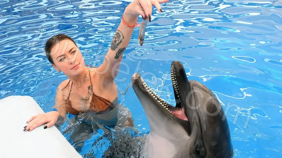 Swim with Dolphins Belek photo 21