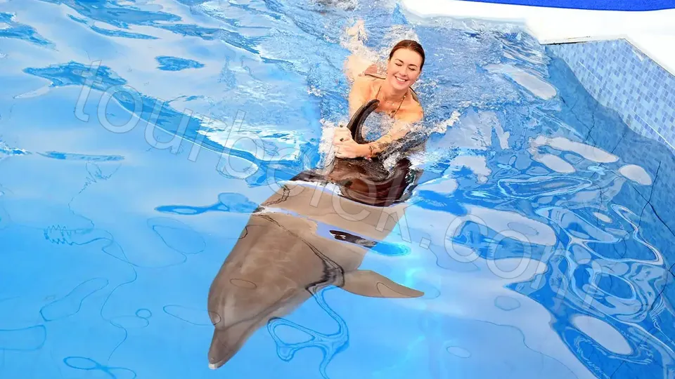 Swim with Dolphins Belek photo 22