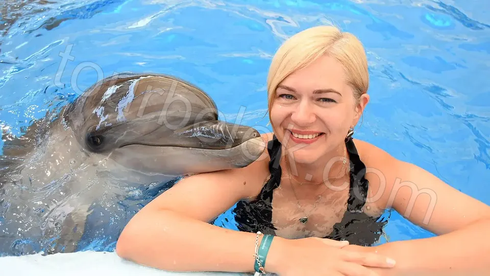 Swim with Dolphins Belek photo 27