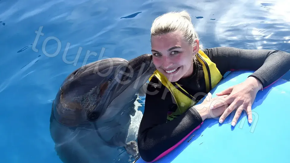 Swim with Dolphins Belek photo 29