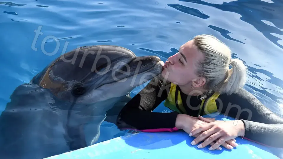 Swim with Dolphins Belek photo 30