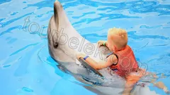 Swim with Dolphins Belek thumb 10