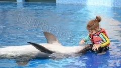 Swim with Dolphins Belek thumb 13