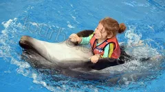 Swim with Dolphins Belek thumb 14