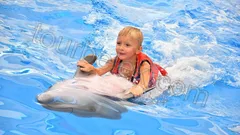 Swim with Dolphins Belek thumb 16