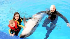 Swim with Dolphins Belek thumb 17