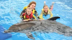 Swim with Dolphins Belek thumb 18