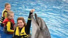 Swim with Dolphins Belek thumb 19