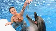 Swim with Dolphins Belek thumb 21