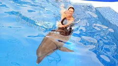 Swim with Dolphins Belek thumb 22