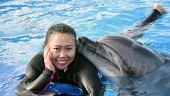 Swim with Dolphins Belek thumb 24