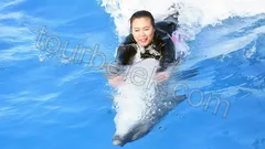 Swim with Dolphins Belek thumb 26