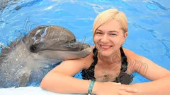 Swim with Dolphins Belek thumb 27