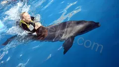 Swim with Dolphins Belek thumb 2