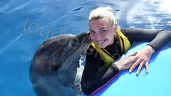 Swim with Dolphins Belek thumb 29