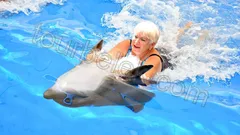 Swim with Dolphins Belek thumb 3