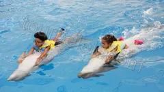 Swim with Dolphins Belek thumb 5