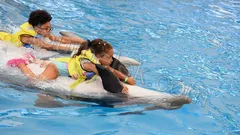 Swim with Dolphins Belek thumb 6