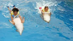 Swim with Dolphins Belek thumb 7