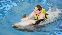 Swim with Dolphins Belek thumb 8