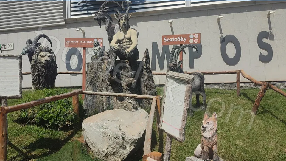 Olympos Cable Car Tour from Belek photo 3