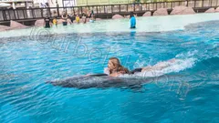 Belek Land of Legends Water Park thumb 9