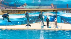 Belek Land of Legends Water Park thumb 13