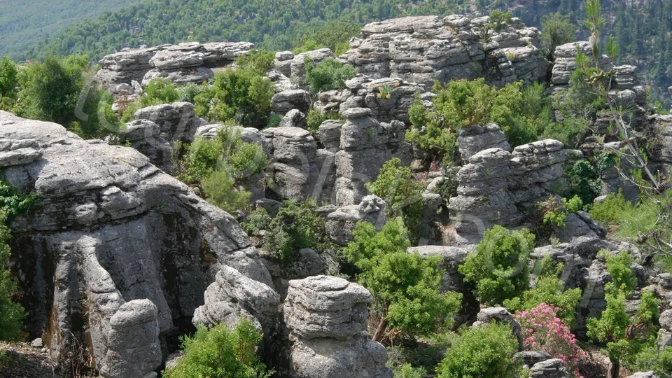 Belek Tazi Canyon Tour photo 15
