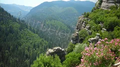 Belek Tazi Canyon Tour thumb 25