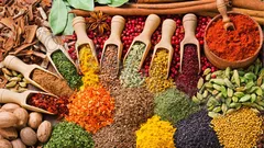 Istanbul Day Trip from Belek thumb 23