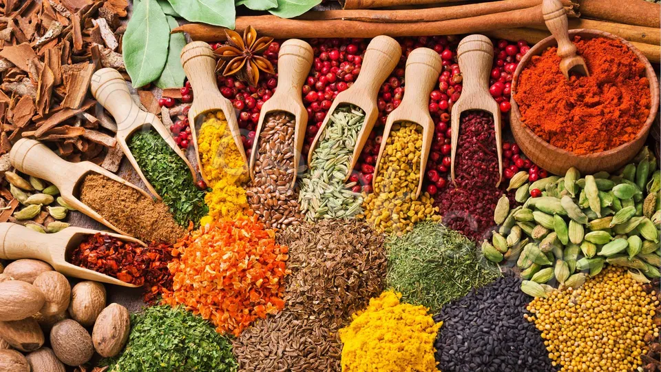 Istanbul Day Trip from Belek photo 23