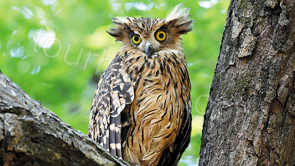 Green Canyon Boat Trip from Belek photo 11