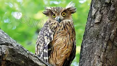 Green Canyon Boat Trip from Belek thumb 11