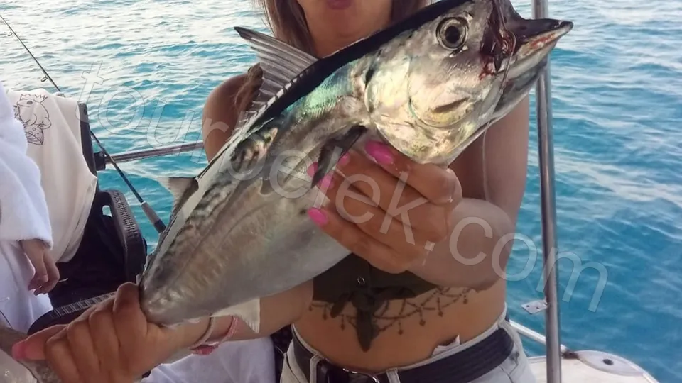 Belek Big Game Fishing Tour photo 7