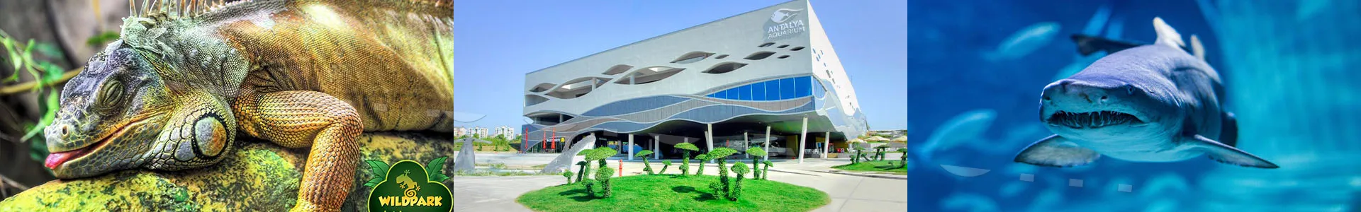 Antalya Aquarium Tour from Belek to Explore the Underwater World