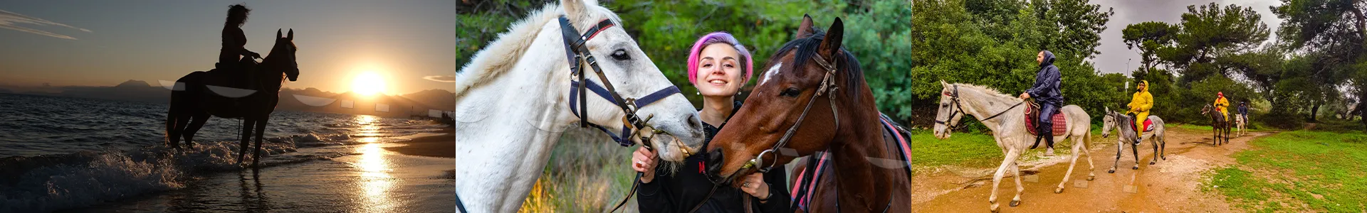 Belek Horse Riding Through Forest Trails and Along the Beach
