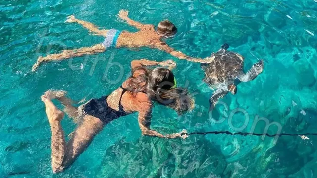 Porto Ceneviz Bay Private Yacht Cruise Photos 4